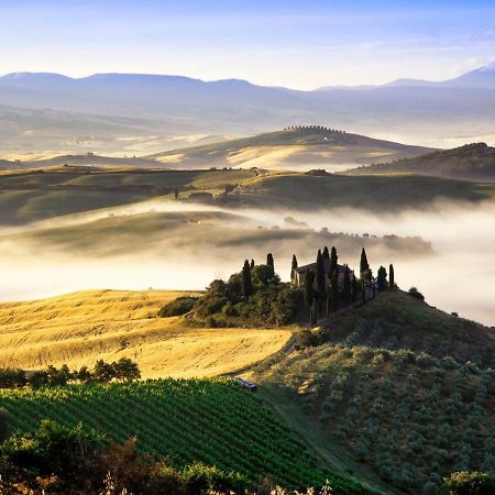 15 Min Da Montepulciano - Villa Chiara Montefollonico Eksteriør bilde