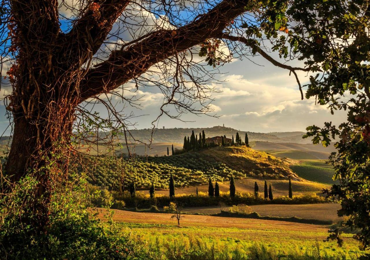 15 Min Da Montepulciano - Villa Chiara Montefollonico Eksteriør bilde